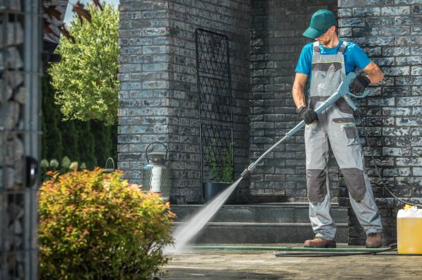 Best Gutter Cleaning  in Belleview, FL