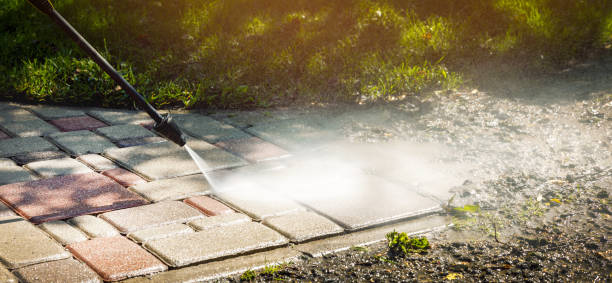 Best Animal Enclosure Cleaning  in Belleview, FL